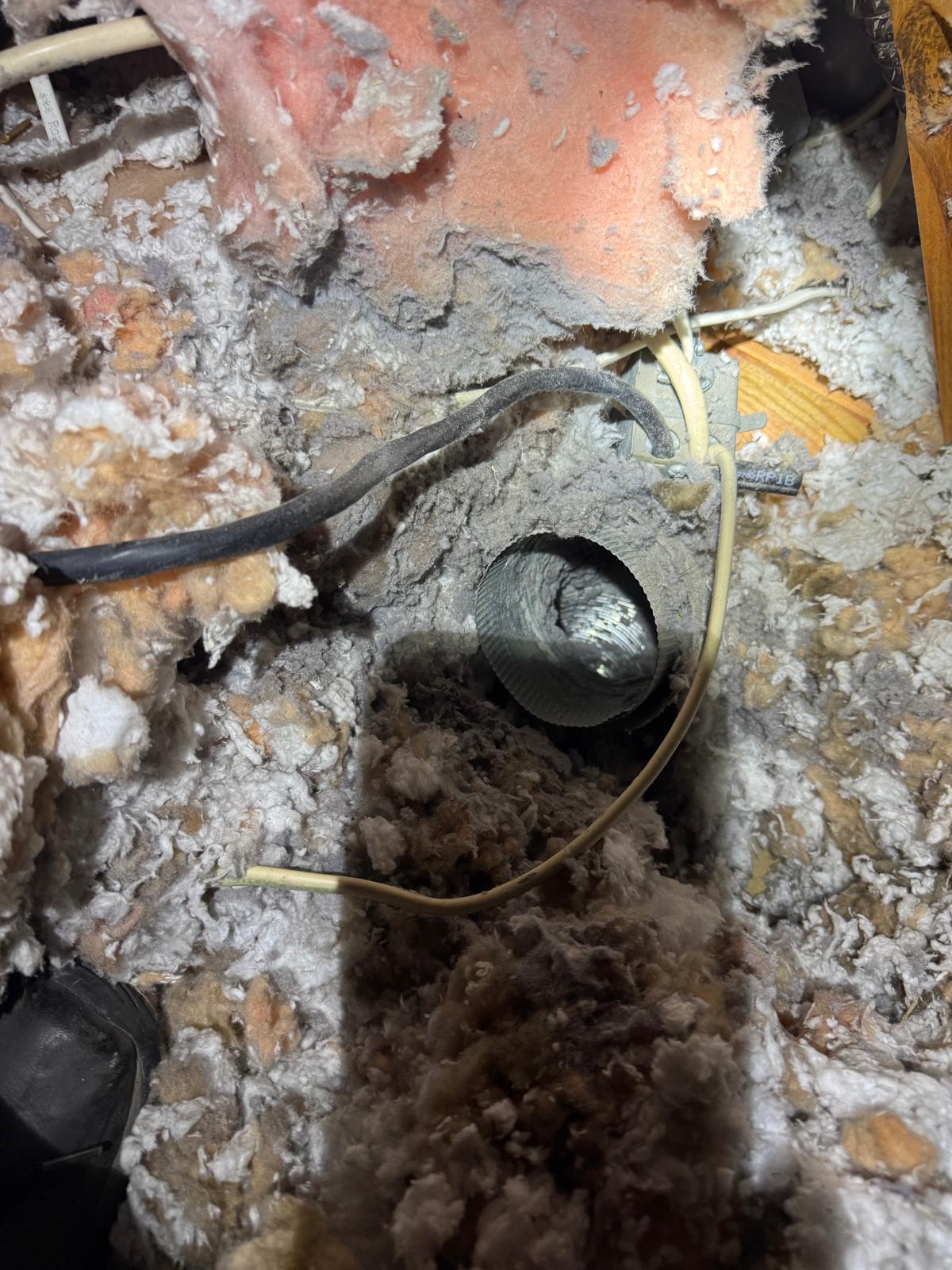 A disconnected dryer vent found venting into the attic of a McLean home, surrounded by insulation and lint